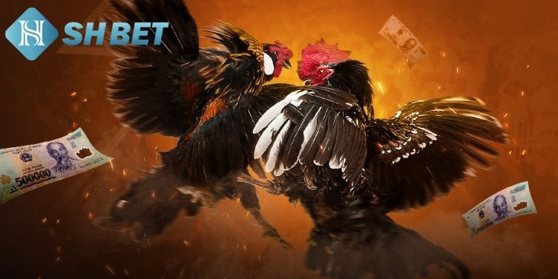 Nắm vững luật chơi 