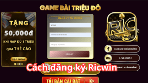 Đánh giá Ricwin