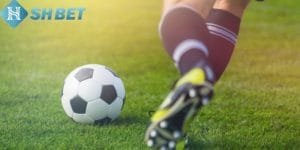 Giới thiệu về kèo cược rung tại Shbet