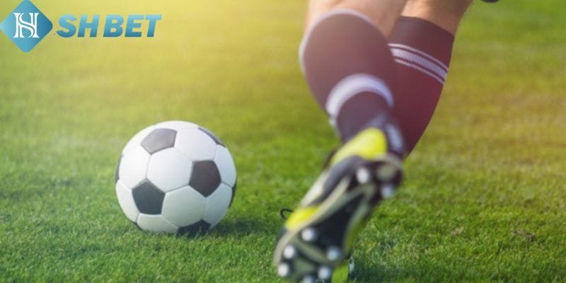 Giới thiệu về kèo cược rung tại Shbet