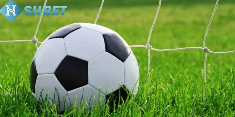 Những chiến thuật chơi kèo rung hiệu quả tại Shbet