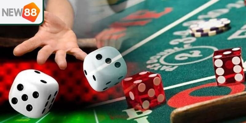 Hướng dẫn cơ bản để chơi tài xỉu New88 như chuyên gia