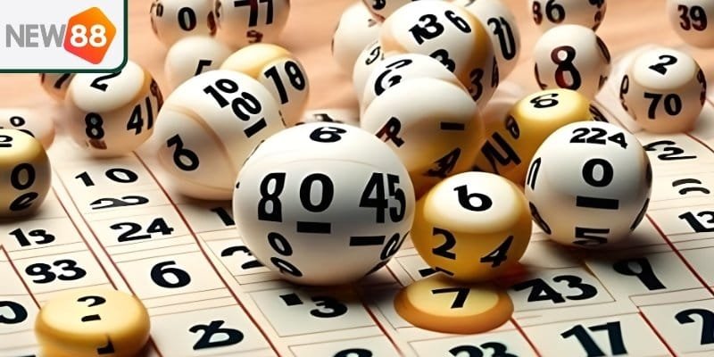 Cách chọn lô khan chuẩn chỉnh cho tân binh tại New88