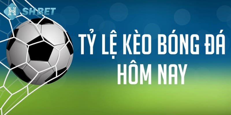 Cách đọc tỷ lệ kèo nhà cái Shbet chi tiết cho người mới