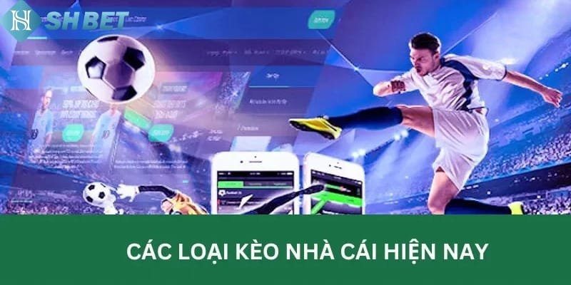 Theo dõi biến động tỷ lệ kèo