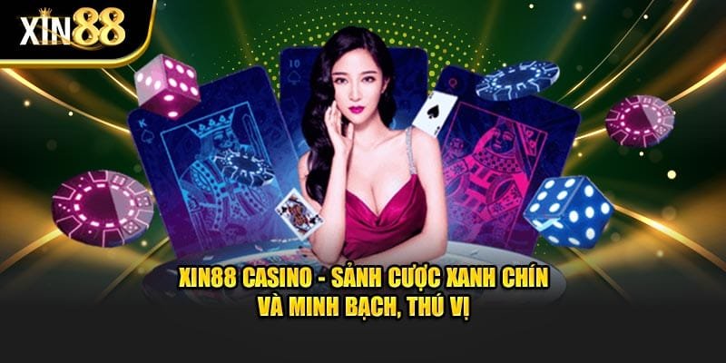 Xin88 Casino