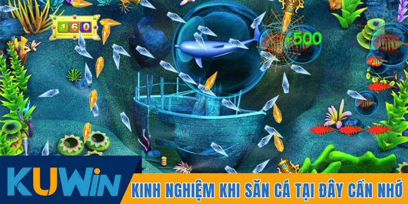 Kinh nghiệm khi săn cá tại đây cần nhớ